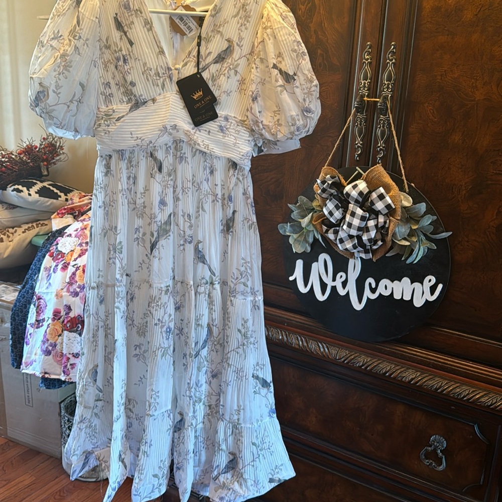 Most Delicate New Fancy Maxi Dress XS